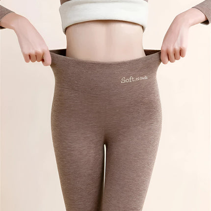 Basics Fleece Lined High Waist Skinny Soft Clouds Leggings MustPride®