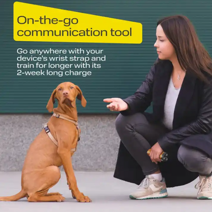 BarkCalm Pro™ - Anti-Bark Ultrasonic Training Device