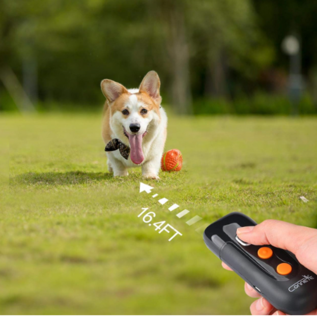 BarkCalm Pro™ - Anti-Bark Ultrasonic Training Device