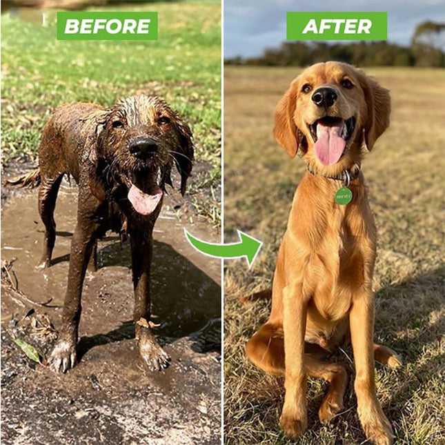 FurSpray Foamer™ High Pressure Pet Foam Water Gun