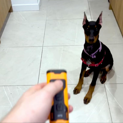 BarkCalm Pro™ - Anti-Bark Ultrasonic Training Device