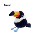 Toucan