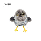 Cuckoo
