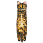 Tortoiseshell Cat